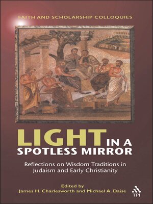 cover image of Light in a Spotless Mirror